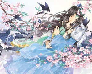 蘑菇gm2视频